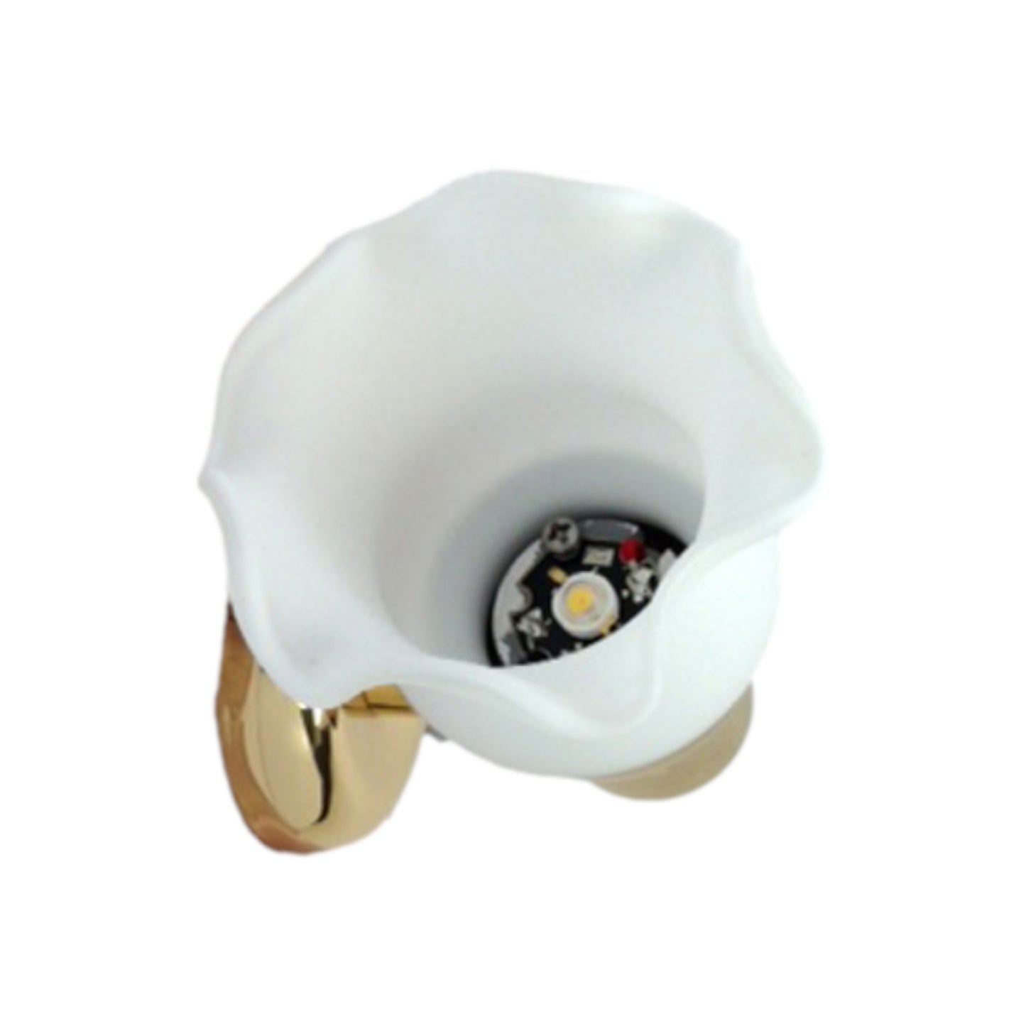 Pactrade Marine LED Swivel Brass Reading Wall Light Dimmable Marine Boat 140LM Frosted Glass