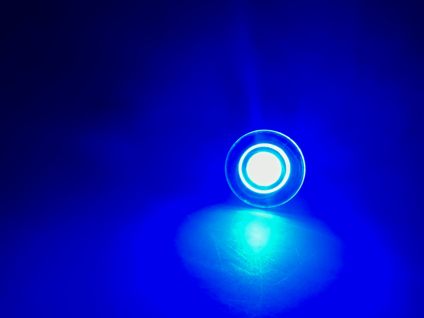 Pactrade Marine Boat LED Livewell Round Button Blue Courtesy Light OEM Waterproof