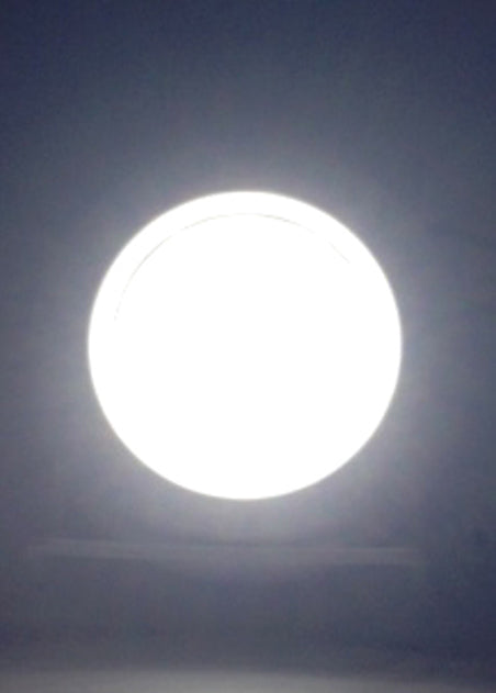 RV & TRUCKS LED ROUND CEILING LENS PUSH ON/OFF LIGHT SURFACE MOUNT