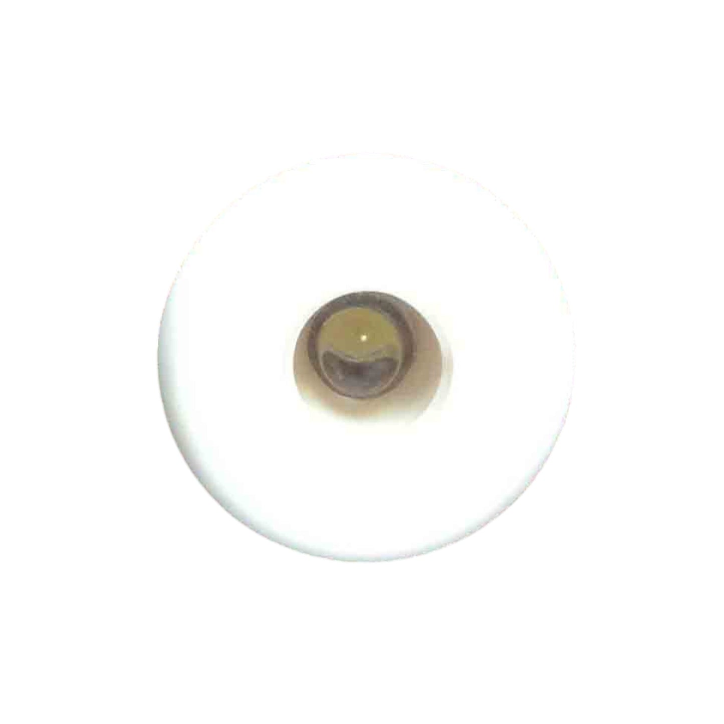 Pactrade Marine Boat LED Mini Round Courtesy Light In Plastic White Housing Flush Mount