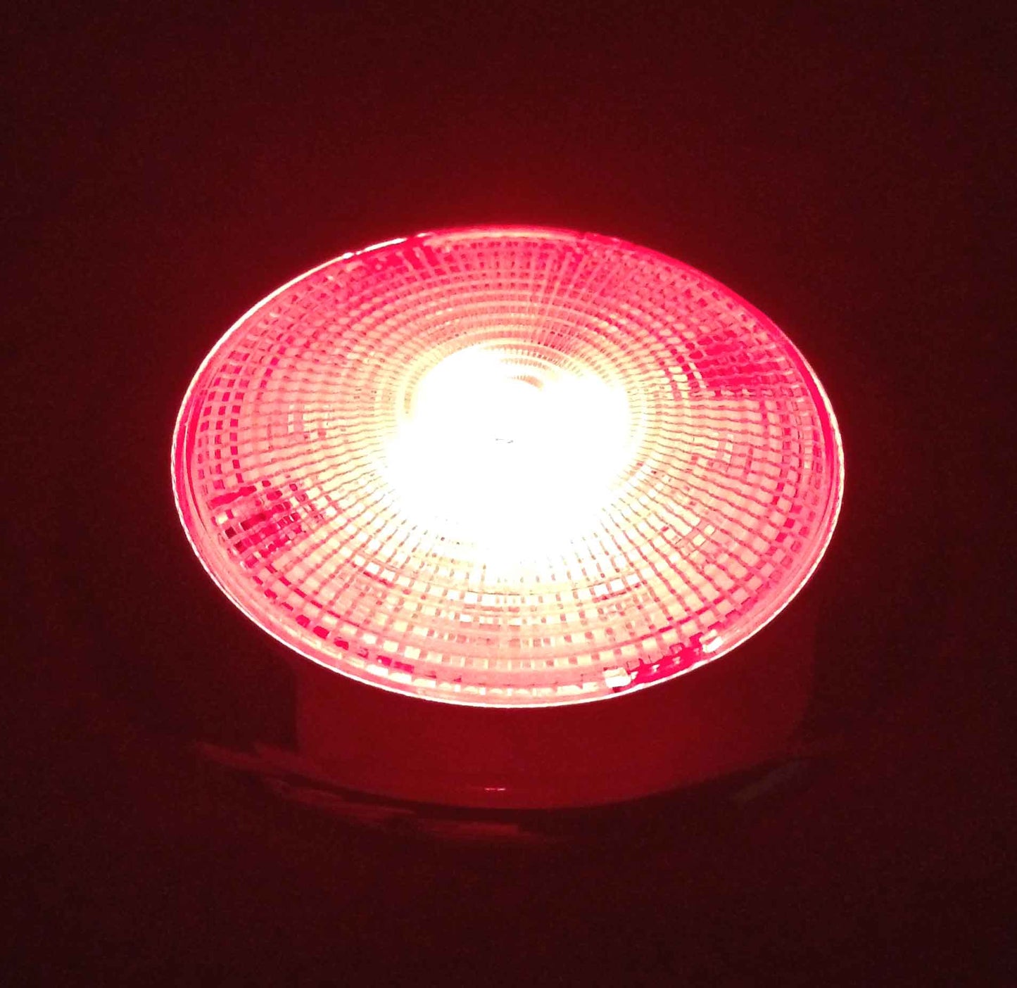 Pactrade Marine Boat LED Bright Slim Ceiling Light Stainless Steel, White/Red