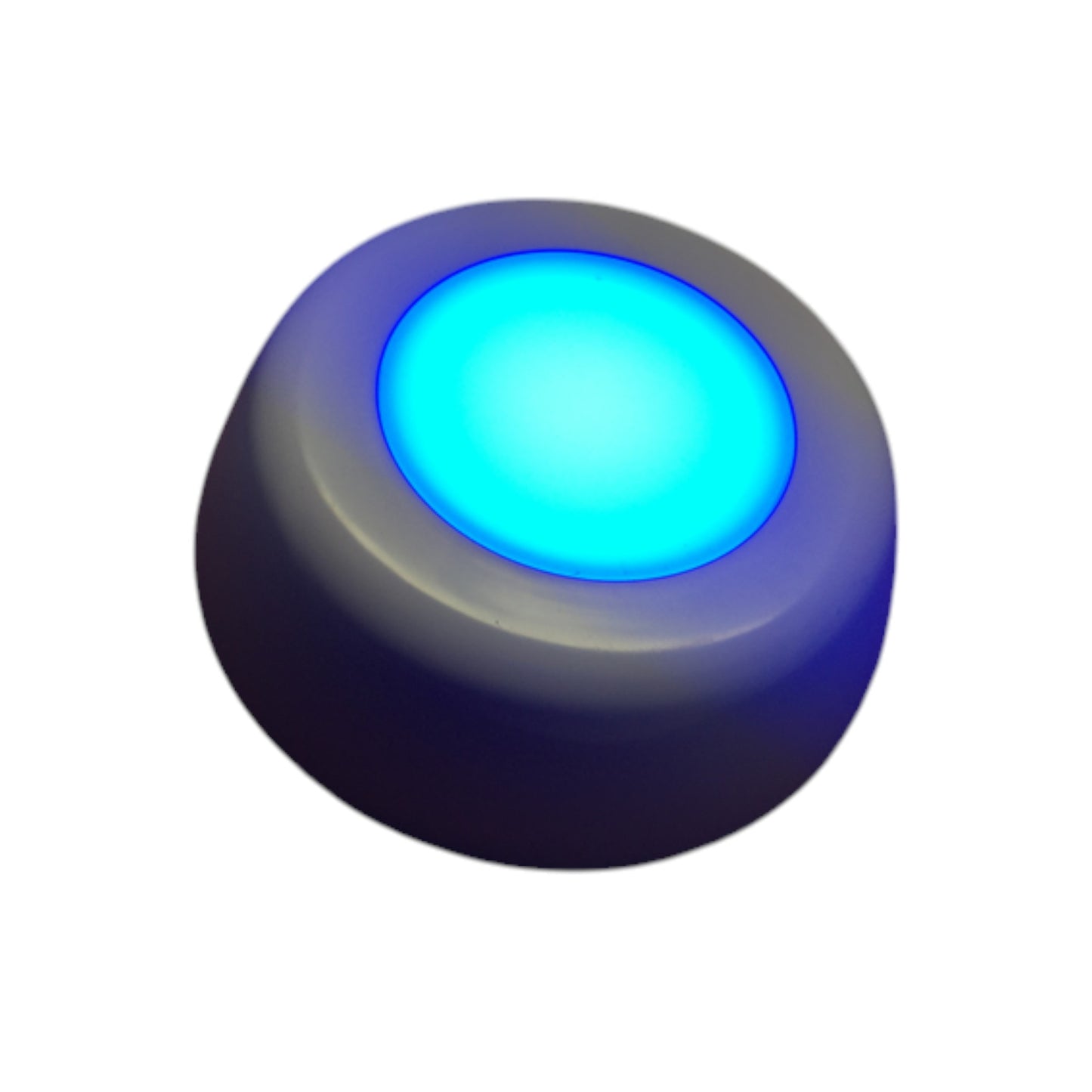 Pactrade Marine Boat Warm White & Blue LED Ceiling Light Glare Free Lens PC Housing Nacre