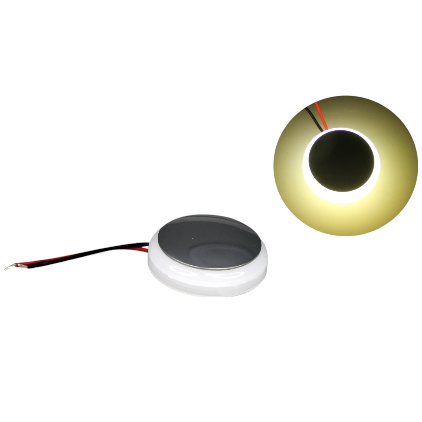 Pactrade Marine Boat Pontoon RV Round Surface Mount LED Stainless Steel Courtesy Light 360° 10-30v (White)