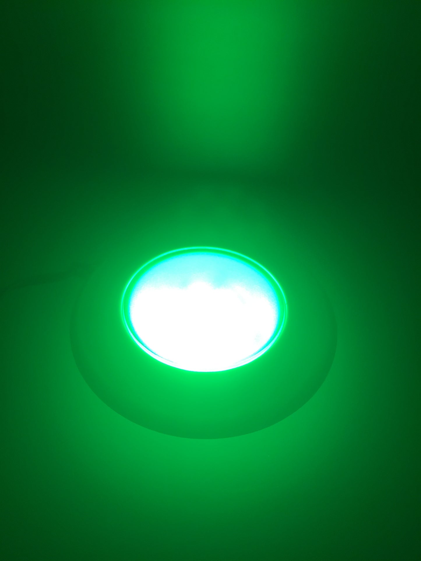 Pactrade Marine RV Boat Pontoon Red Green Blue White LED Flush Mt Courtesy Light