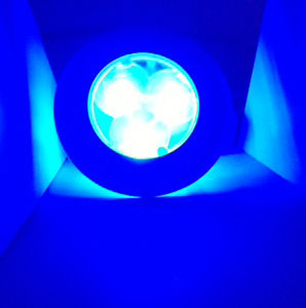 Pactrade Marine Boat Blue LED Stainless Steel Housing Round Courtesy Light