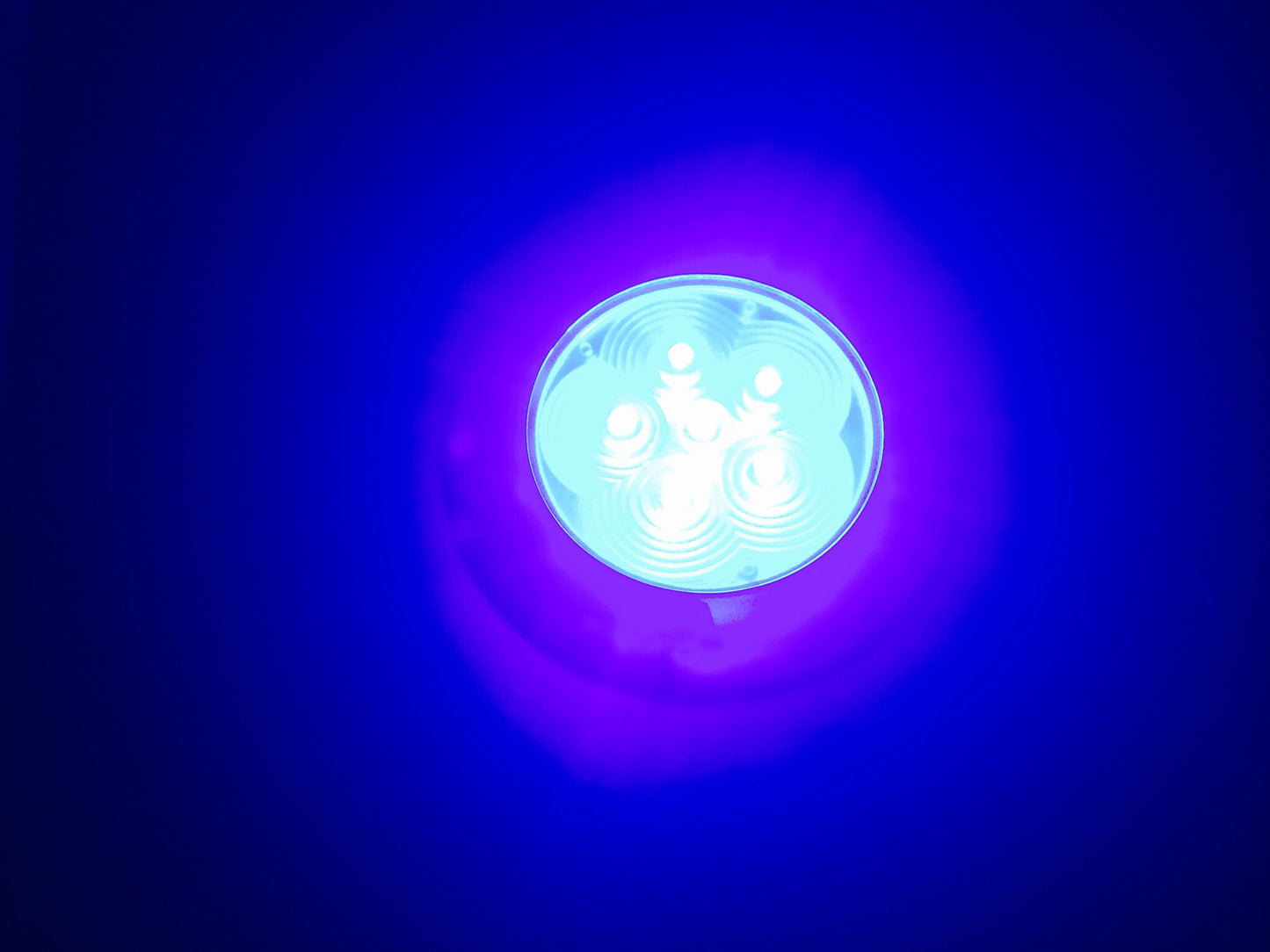 Pactrade Marine RV Boat Trailer 6 LED Blue Ceiling Courtesy Light S S Rim Flush/Surface