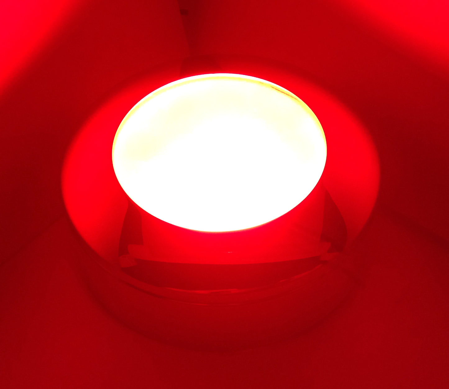 Pactrade Marine Boat LED Multi Color Ceiling Cool White & Red Dimmable Light Polished SS