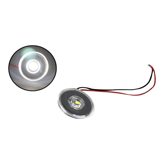Pactrade Marine Boat Auto RV Trailer LED Courtesy Livewell Round Clear Lens Light Interior Exterior (White) (White)